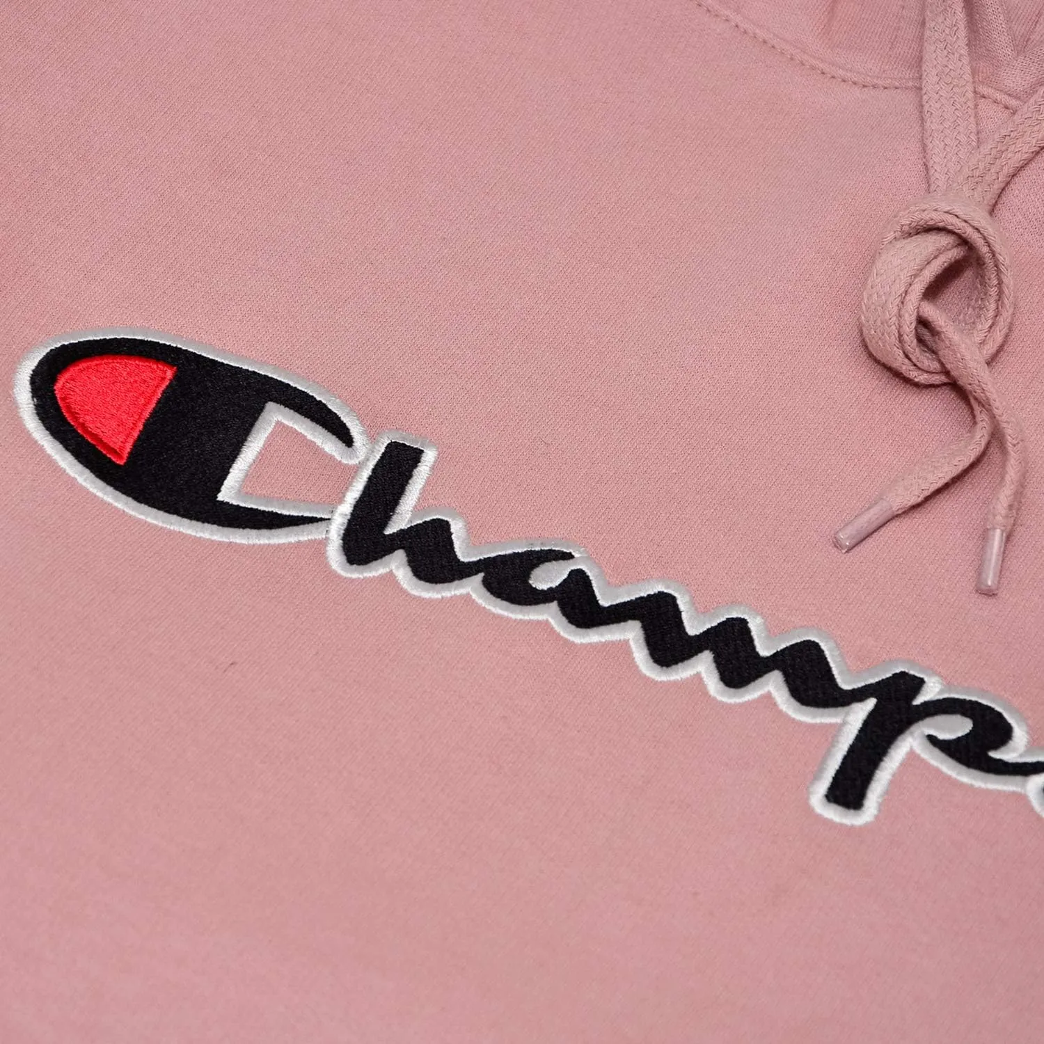 Champion Mens Hoodies Big and Tall - Embroidered Pullover Fleece Sweatshirt