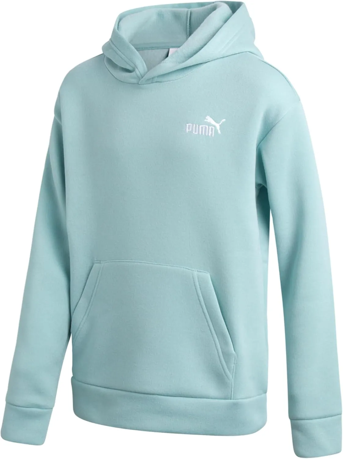PUMA Boys' Hoodie - Fleece Pullover Basic Athletic Performance Small Chest Logo Sweatshirt for Boys (Sizes: 8-20)
